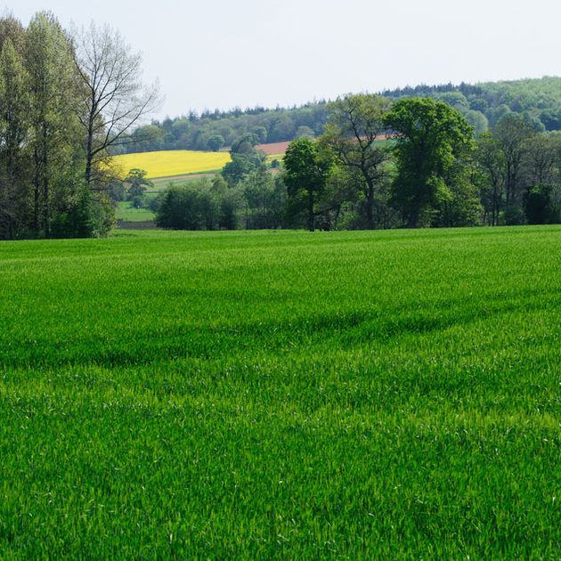 About Us Corner of Ireland Kildare